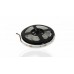 Лента светодиодная GLS-2835-60-4.8-12-IP20-4 . код ТН ВЭД