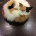 Кошка с мехом