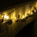 НИТЬ ROSA DECOR "Заснеженные шишки" IP20, 1.5 м, Н.С., 30 LED, CR2032x2 (в компл.), Т/БЕЛЫЙ