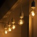 БЕЛТ ЛАЙТ РЕТРО SPEC. IP54, УМС, 10 м, Н.Б., 2W, шаг 100 см, Е27, 220V без свесов